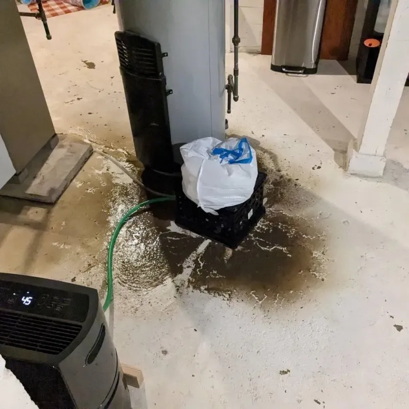 Sewage Backup Cleanup Service in Spencerville, NM